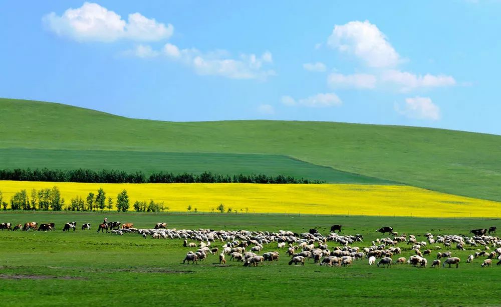 内蒙古，大美草原的壮丽画卷