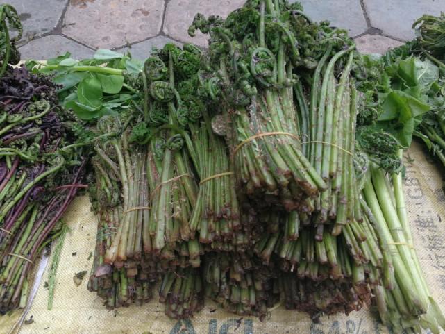 吉林概览，文化与风景的交织