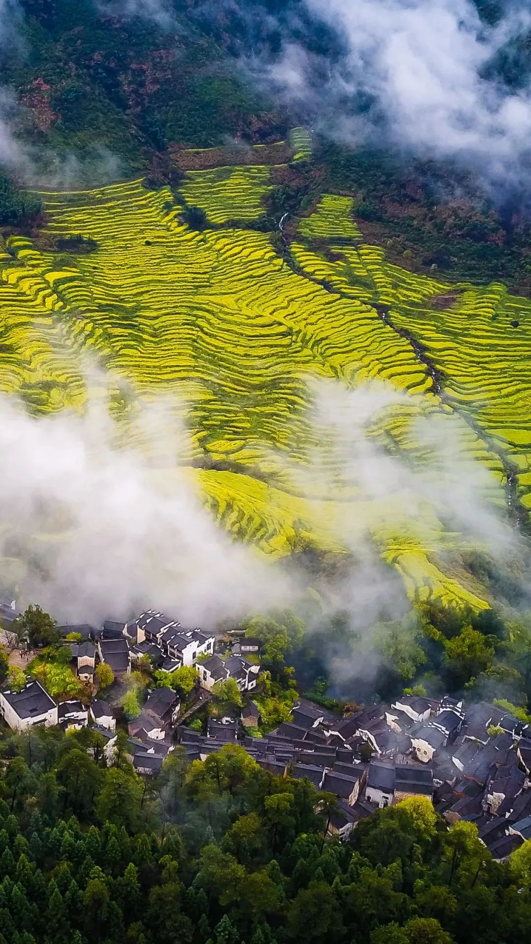 寻味江西，小巷深处赣味飘香