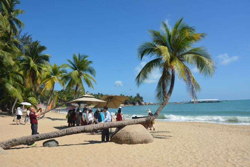 椰风海韵,海南椰林风情画卷