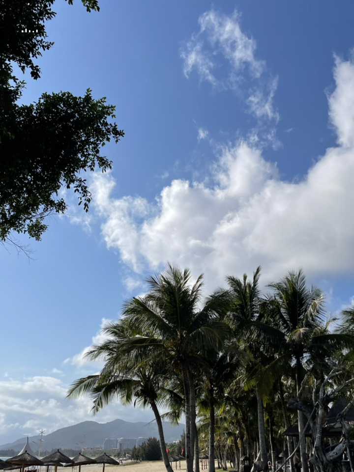 椰风海韵,海南椰林风情画卷