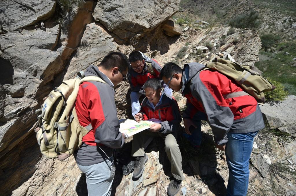 宁夏,深度解读与评论