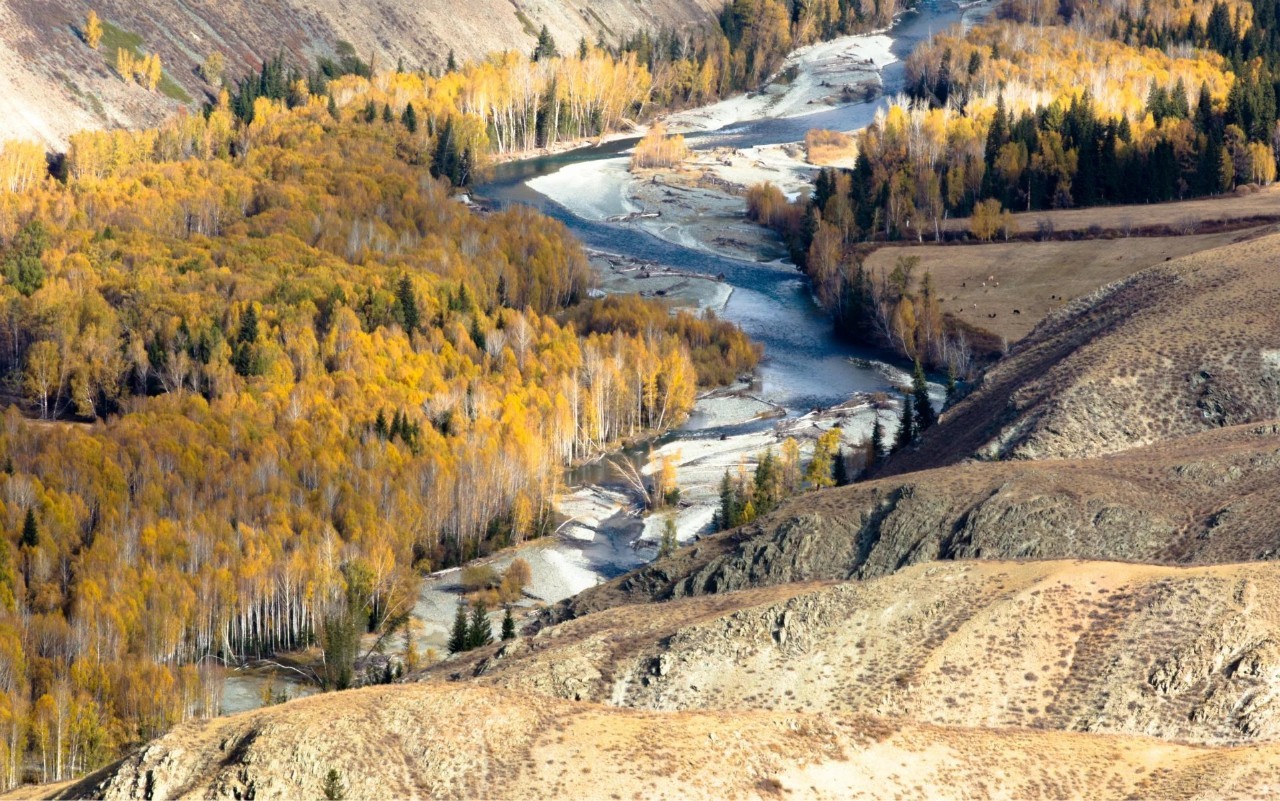 新疆，多元文化交融的璀璨明珠